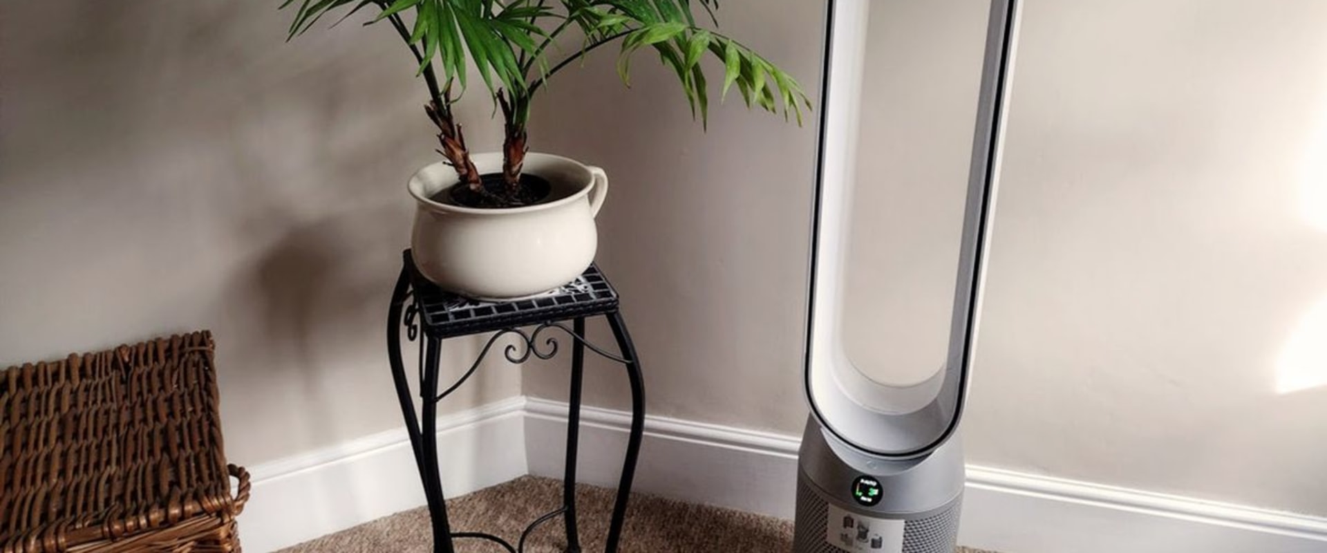 The Benefits of Running an Air Purifier at Night