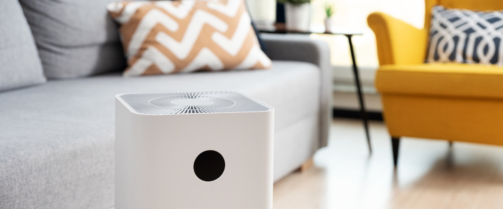 The Benefits of Air Purifiers: What You Need to Know