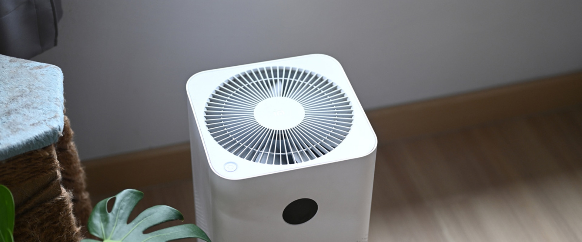 The Truth About Air Purifiers: What You Need to Know