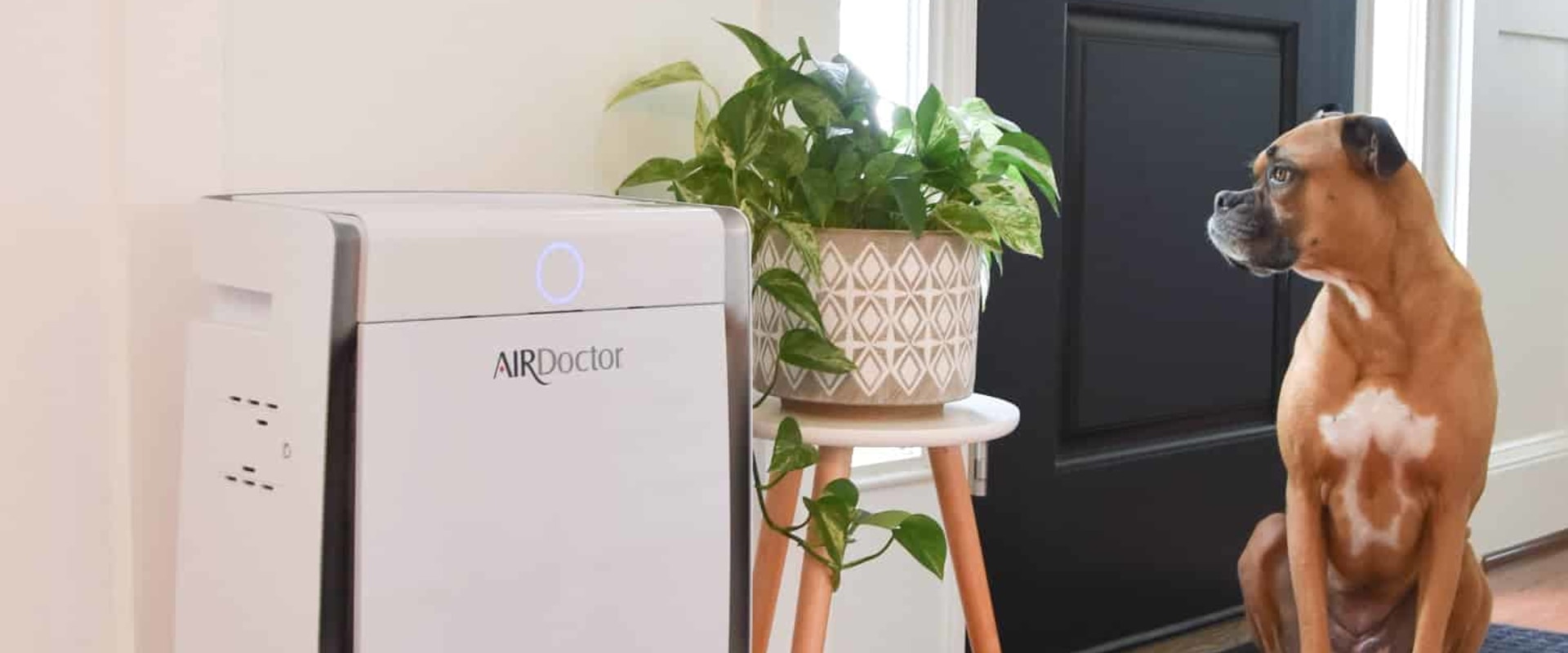 The Truth About Air Purifiers: What Experts Recommend