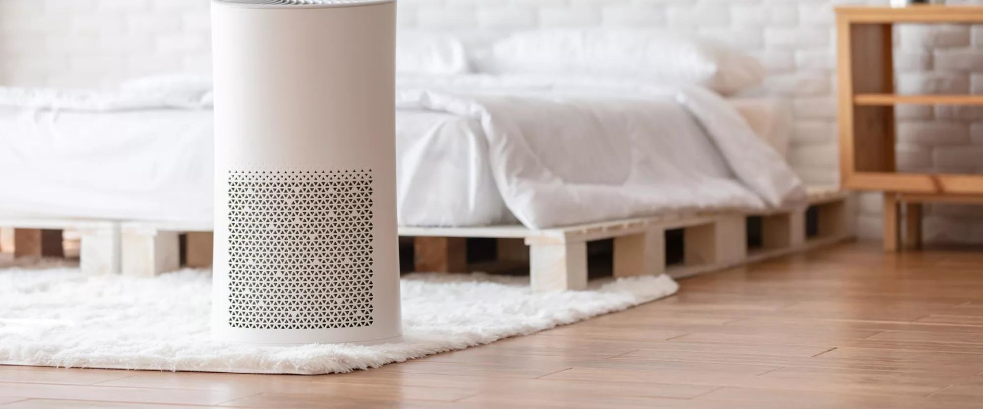 The Truth About Air Purifiers and Your Lungs: An Expert's Perspective