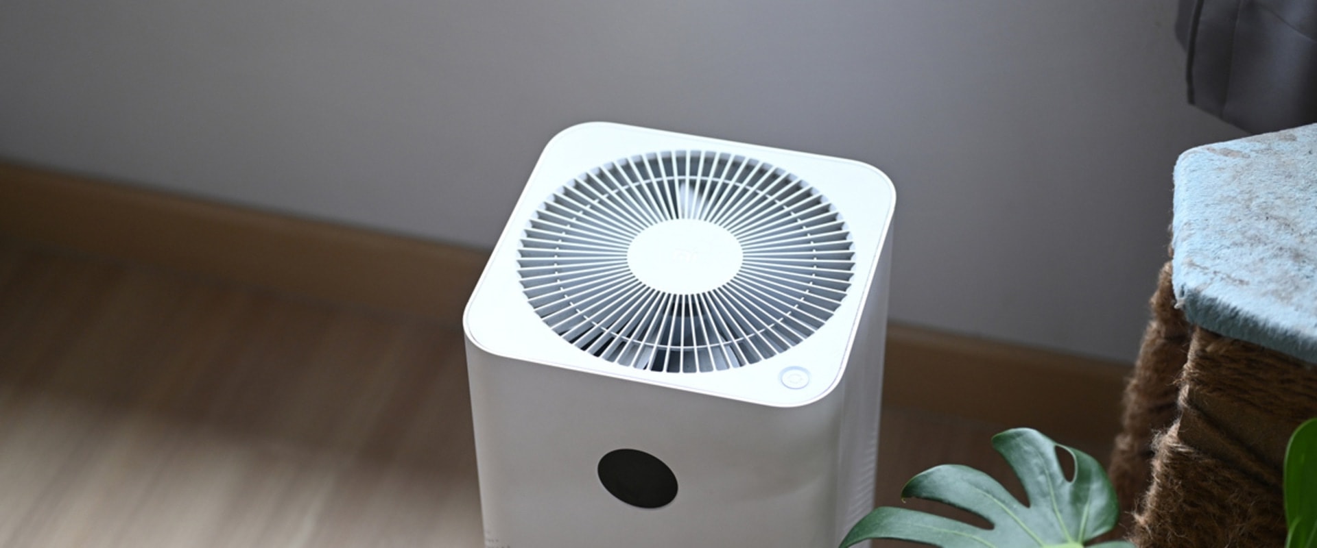 The Truth About Air Purifiers: An Expert's Perspective