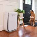 The Truth About Air Purifiers: What Experts Recommend