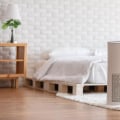 The Truth About Air Purifiers and Your Lungs: An Expert's Perspective