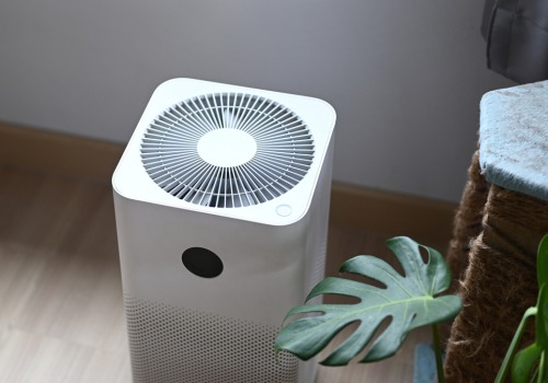 The Importance of Investing in an Air Purifier